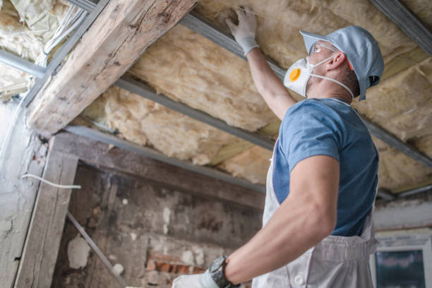 Best Commercial Insulation in Fredericksburg, TX