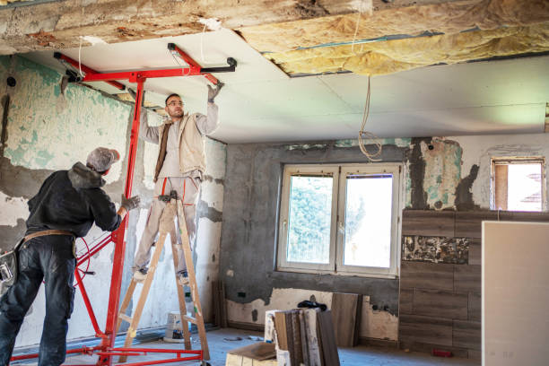 Best Insulation Maintenance and Repair in Fredericksburg, TX