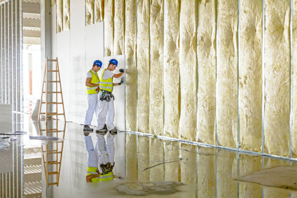 Best Types of Insulation in Fredericksburg, TX